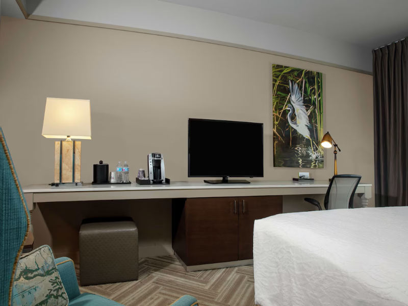 Hilton Garden Inn Mobile Downtown image