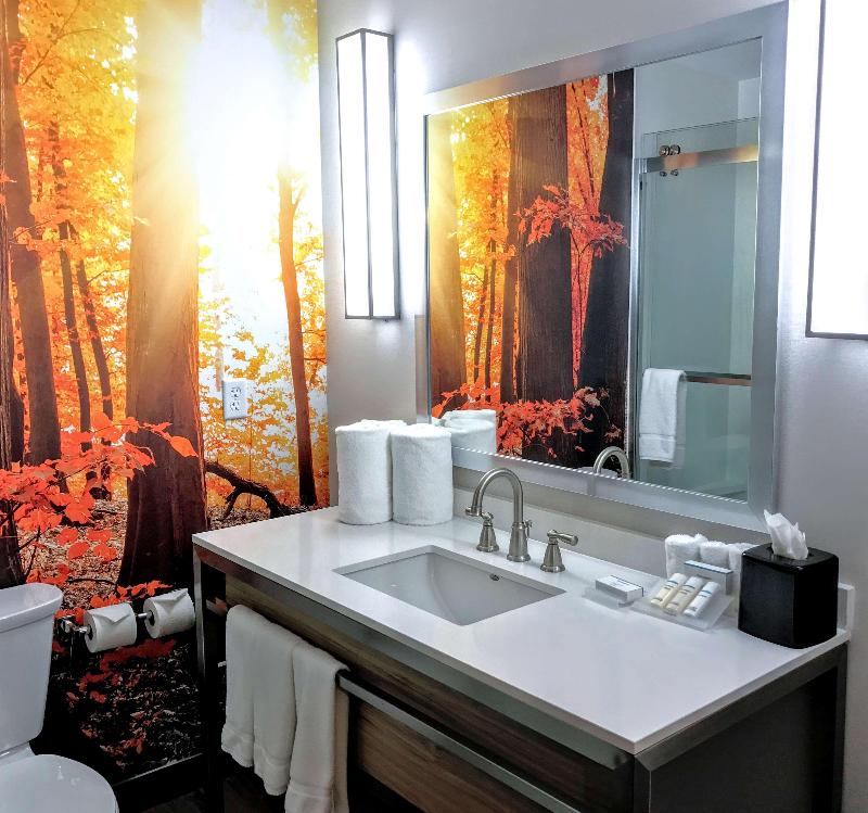 Hilton Garden Inn Minneapolis Airport Mall America
