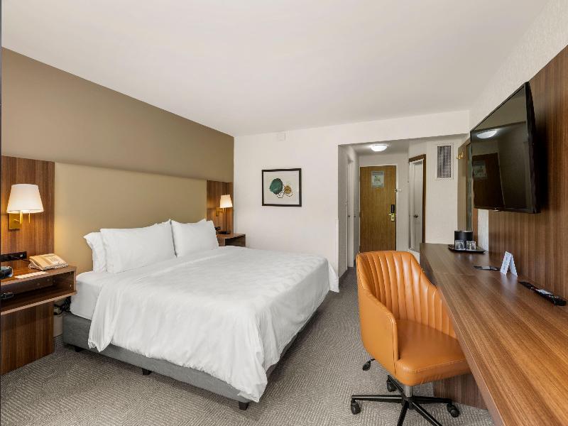 Holiday Inn San Jose La Sabana an IHG Hotel image