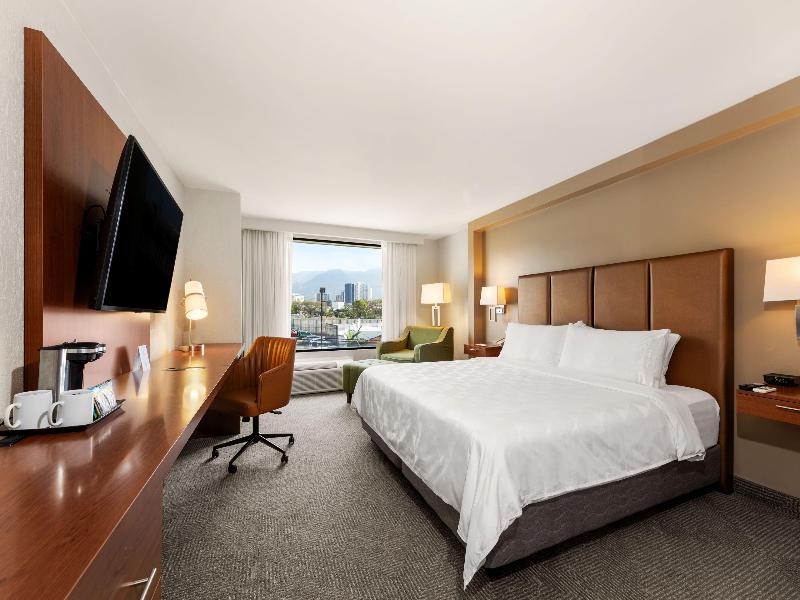 Holiday Inn San Jose La Sabana an IHG Hotel image