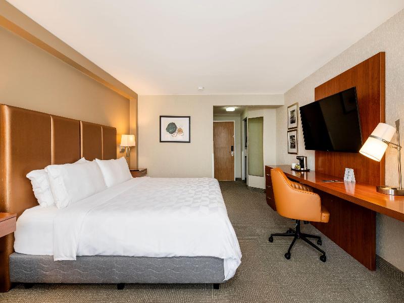 Holiday Inn San Jose La Sabana an IHG Hotel image