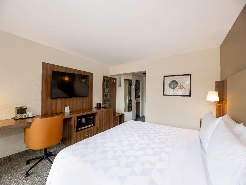 Holiday Inn San Jose La Sabana an IHG Hotel image