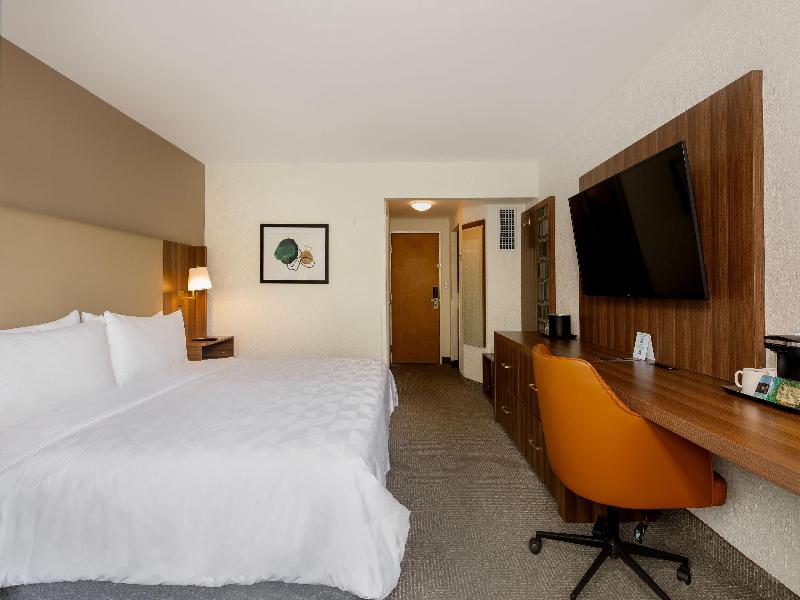 Holiday Inn San Jose La Sabana an IHG Hotel image