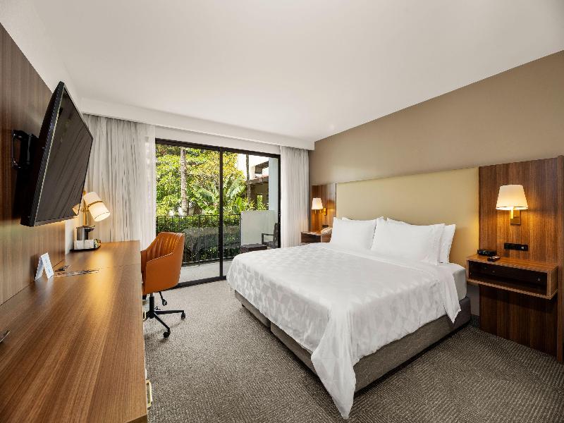 Holiday Inn San Jose La Sabana an IHG Hotel image