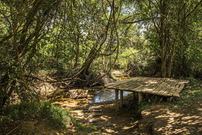Amaara Forest Hotel Sigiriya image