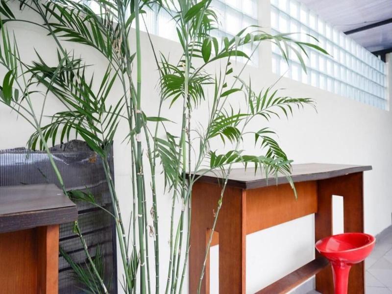 Dinasty Smart Hotel