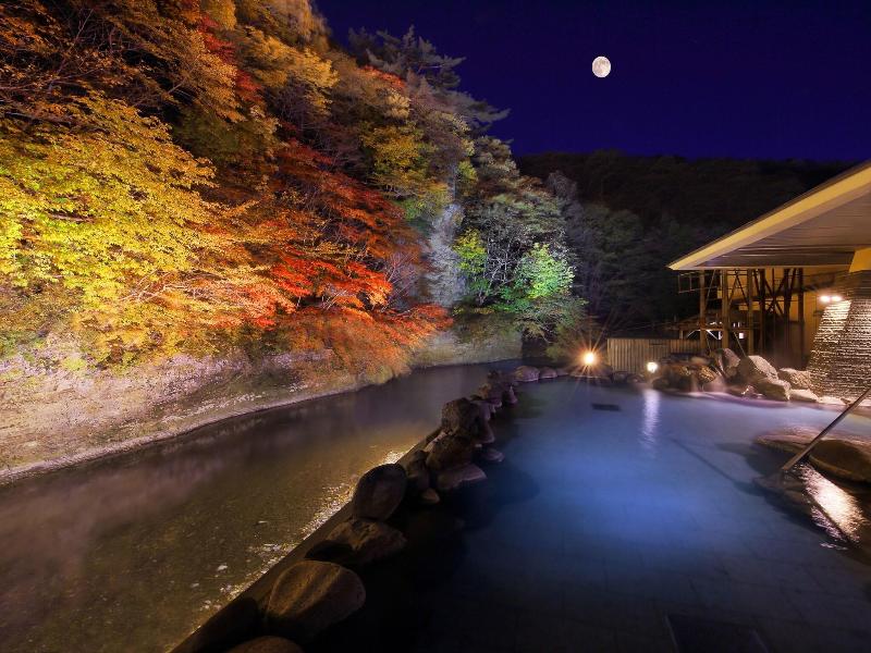 Yu No Mori Hotel Shidotaira image