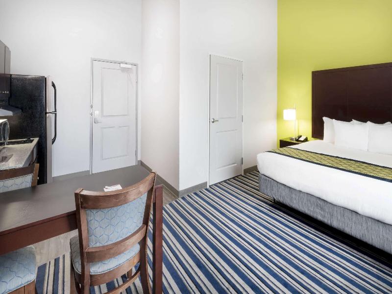 1 King Bed, Mobility/Mobility Accessible Suite, Roll-In Shower, Non-Smoking