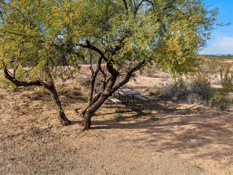 Rodeway Inn Benson AZ image 5