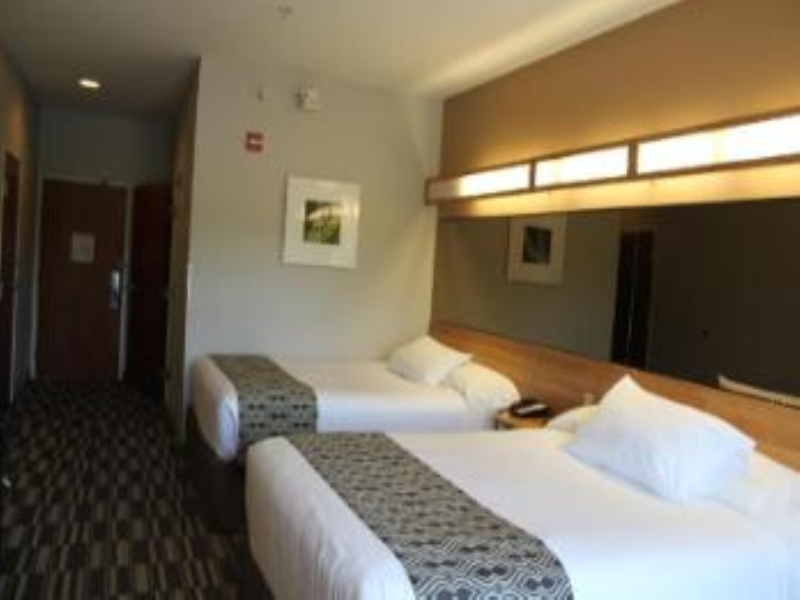 Microtel Inn & Suites By Wyndham York image