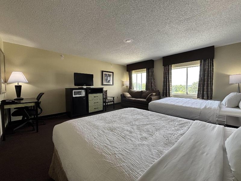Baymont by Wyndham Dale image