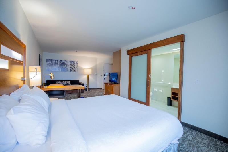 SpringHill Suites Baton Rouge Gonzales image