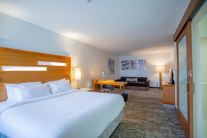 SpringHill Suites Baton Rouge Gonzales image