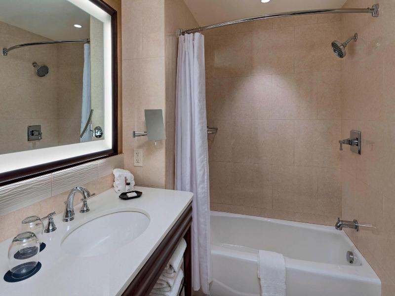 Sheraton Austin Georgetown Hotel Conference Centre image
