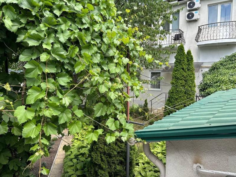 Hotel Lidia image
