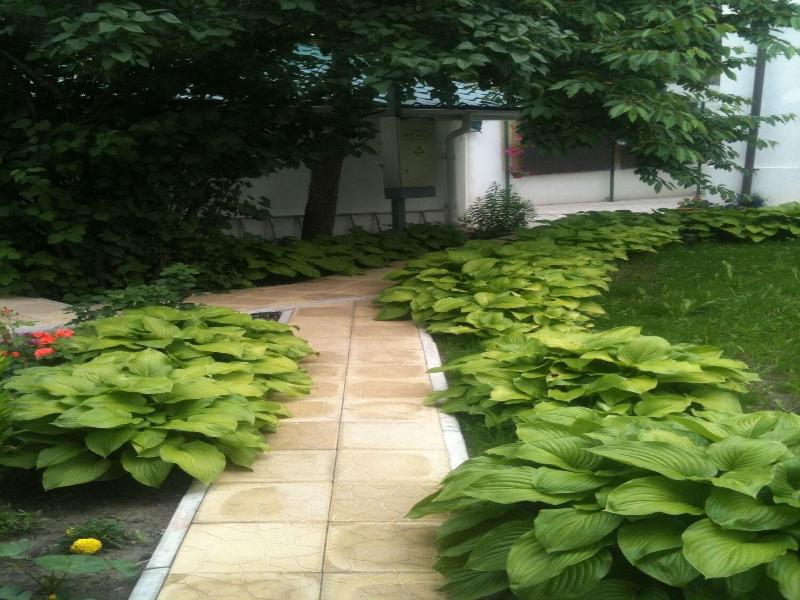 Hotel Lidia image