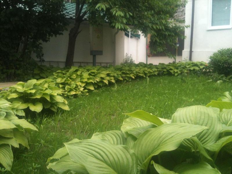 Hotel Lidia image