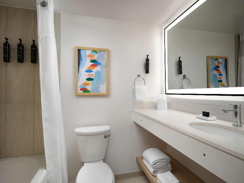 1 King 1 Bedroom Suite