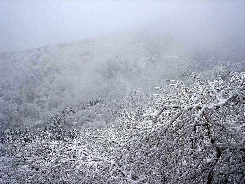 Hounkan image