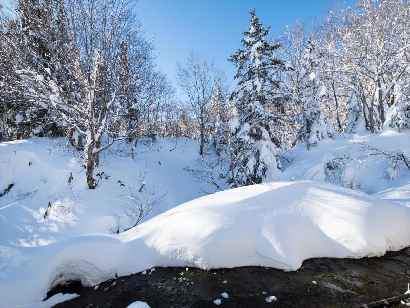 Yachi Onsen image