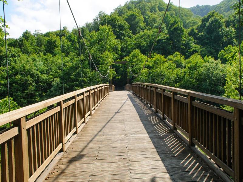 Yachi Onsen image