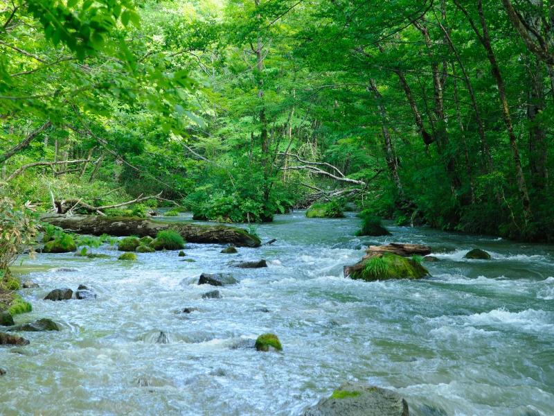 Yachi Onsen image