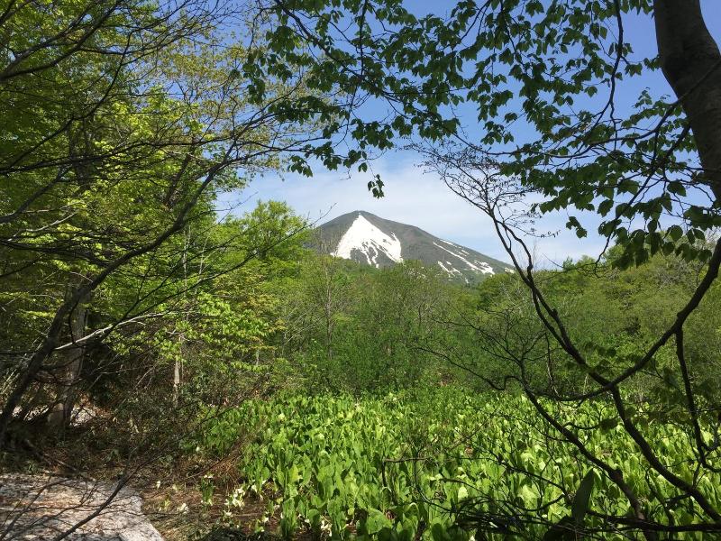 Yachi Onsen image