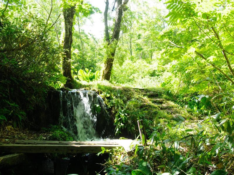 Yachi Onsen image