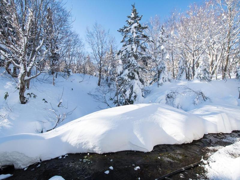 Yachi Onsen image