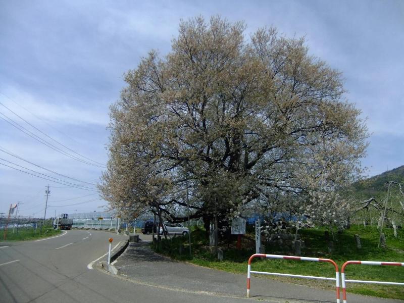 Shiga Park Hotel image