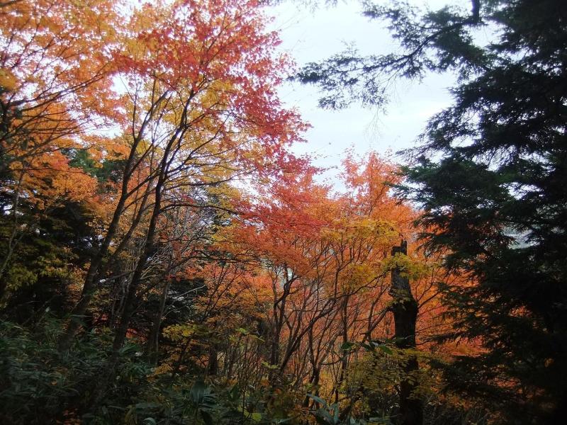 Shiga Park Hotel image