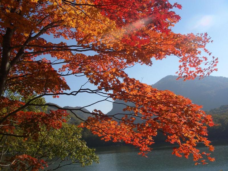 Shiga Park Hotel image