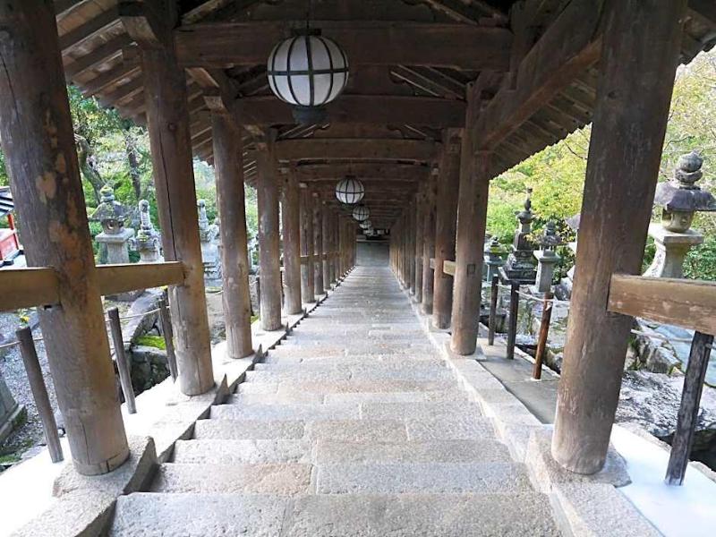 Itaniya image
