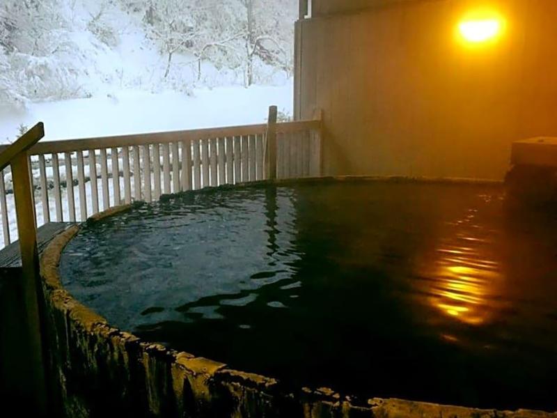 Hotel Ogawa image