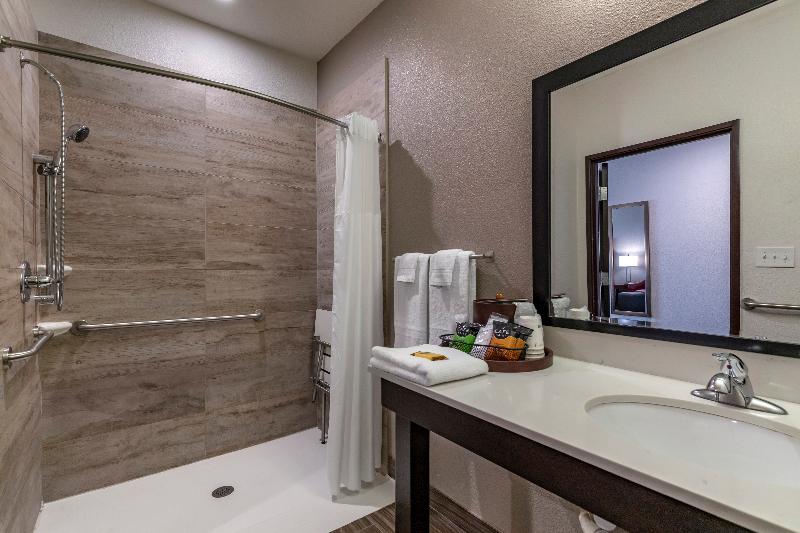 Best Western Plus Big Lake Inn image