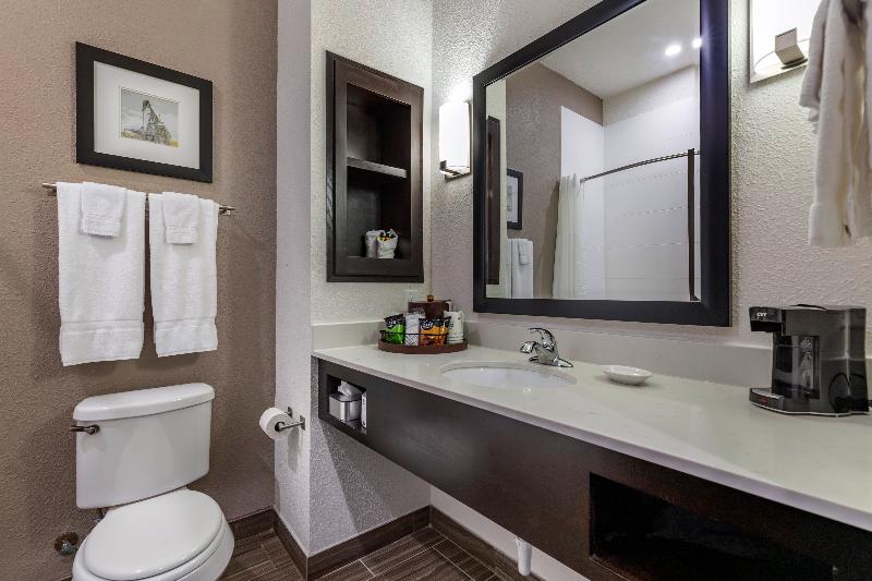 Best Western Plus Big Lake Inn image