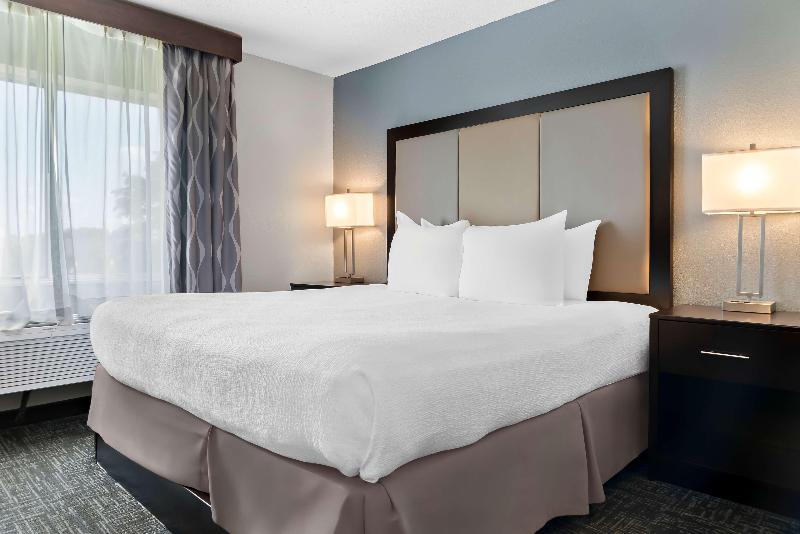 Best Western Plus Flint Airport Inn & Suites image