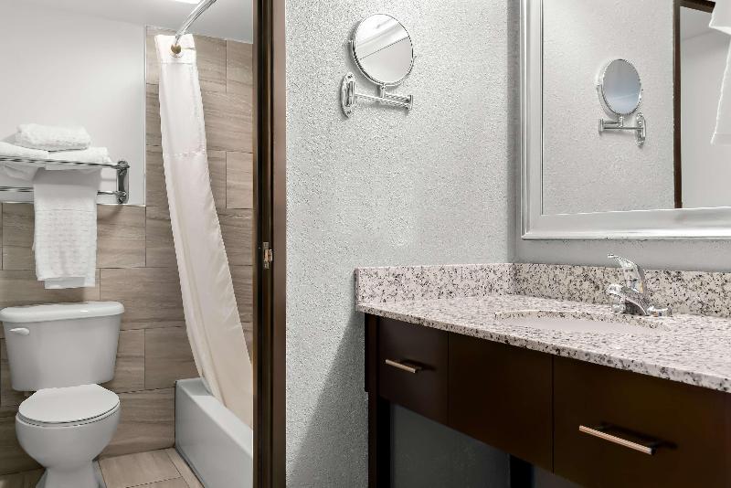 Best Western Plus Flint Airport Inn & Suites image
