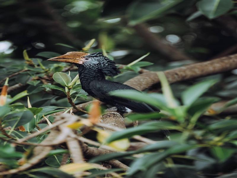 Protea Hotel Aishi Machame image