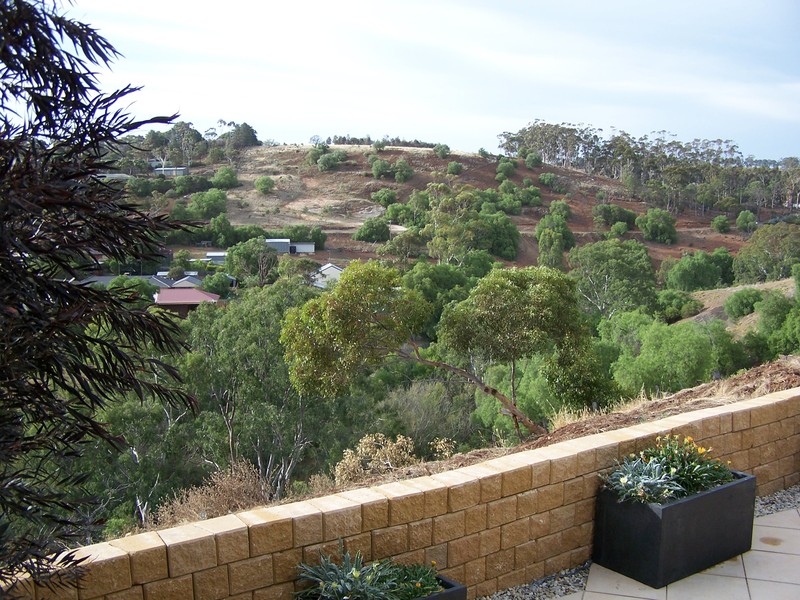 Bulla Hill