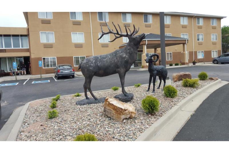 Rodeway Inn Central Colorado Springs image