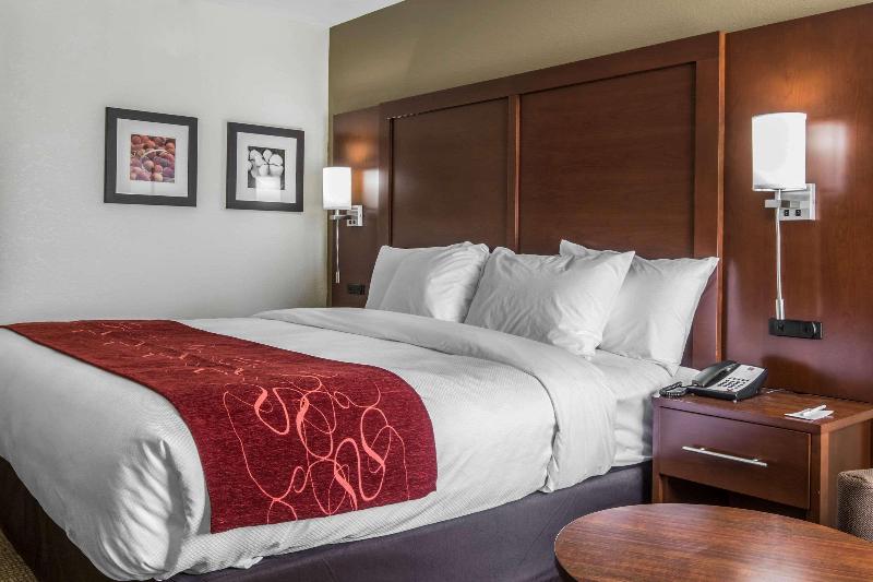 Hotel Comfort Inn & Suites Macon West
