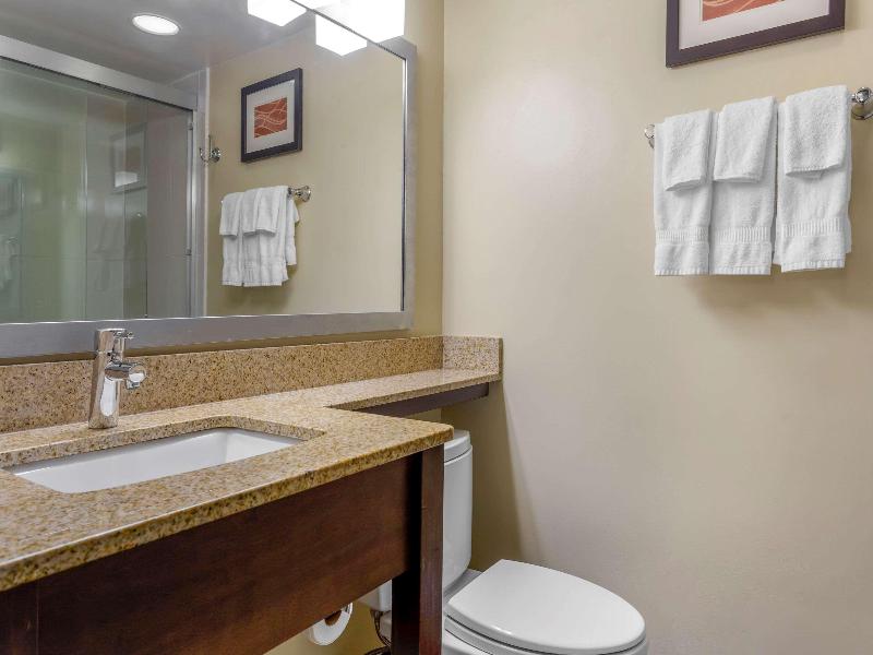 Comfort Inn Hammond I-94 image