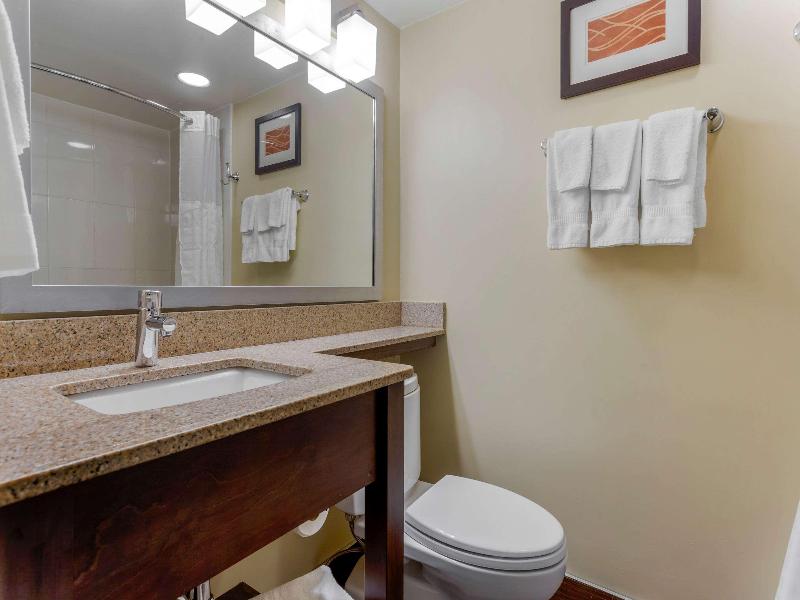 Comfort Inn Hammond I-94 image