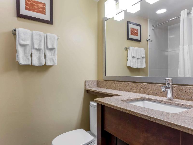 Comfort Inn Hammond I-94 image