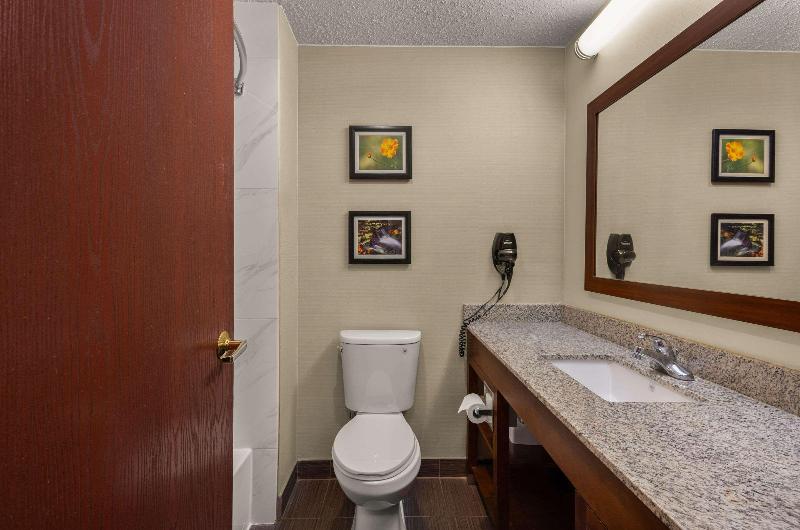 Comfort Inn Near Ouabache State Park image