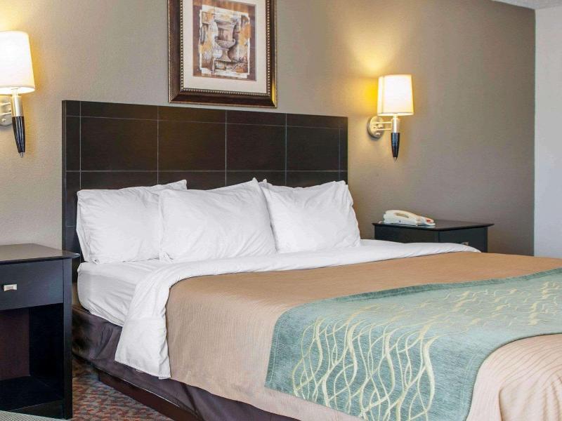 Comfort Inn Near Ouabache State Park image