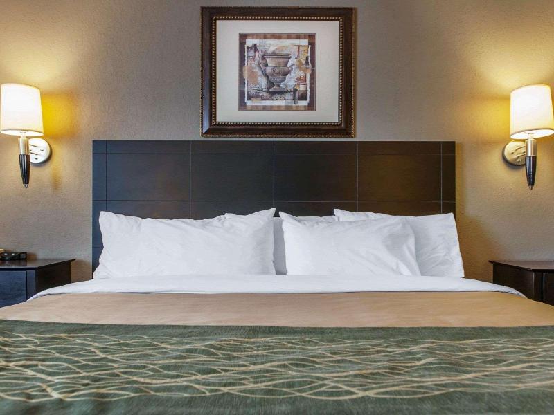 Comfort Inn Near Ouabache State Park image
