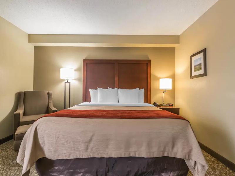 Comfort Inn & Suites Lexington - Hamburg I-75 image