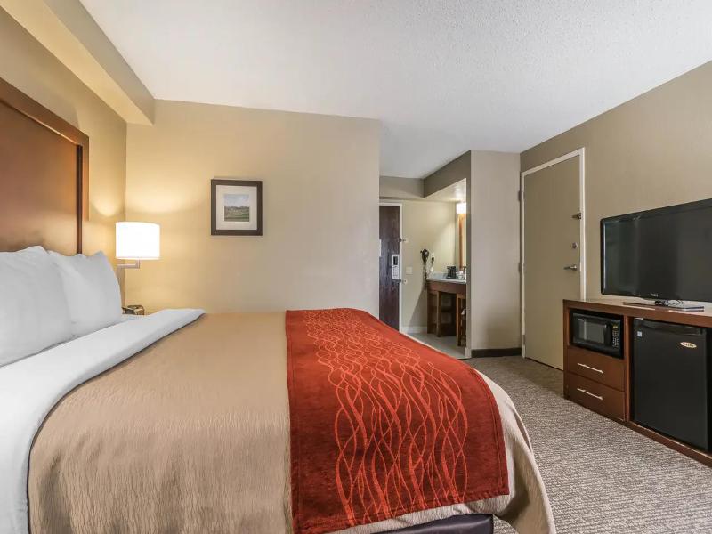 Comfort Inn & Suites Lexington - Hamburg I-75 image